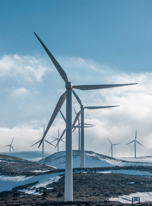 Net zero sacrifices need to have public support to succeed