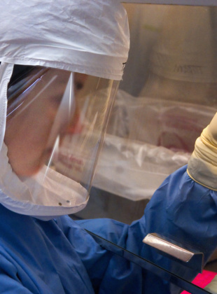 Public opinion on coronavirus &#8211; 19th March