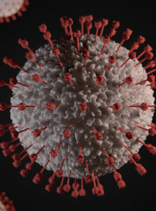 Impact of Coronavirus on UK SMEs