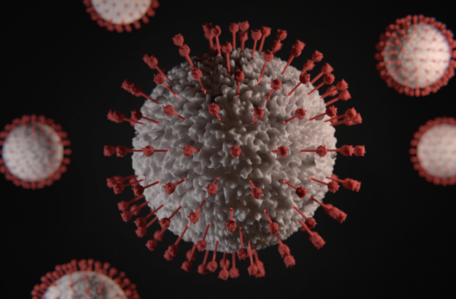 Impact of Coronavirus on UK SMEs