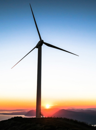 Consumer Energy Report: Young and Carbon Free