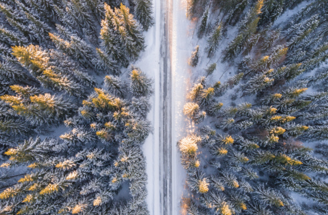 Brand marketing in a crisis: How to give consumers a very merry Christmas