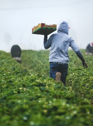 Preventing Modern Slavery &#038; Human Trafficking