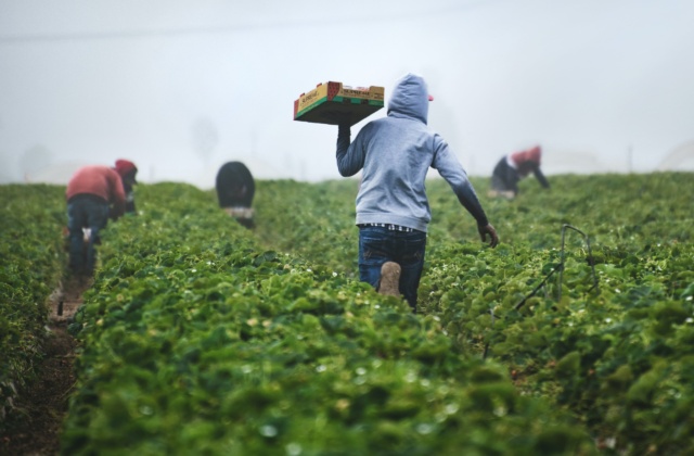 Preventing Modern Slavery & Human Trafficking