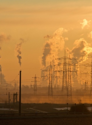 Public backs government to go further on climate action.