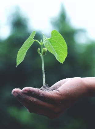 Meet the hosts of We Better Behave 2021!