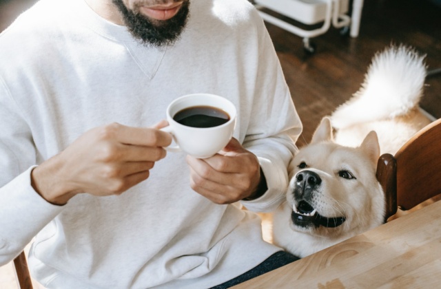 What’s driving the rise of the petfluencer during the cost of living crisis?