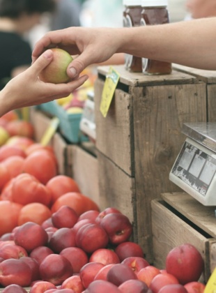 Grocery Sustainability Report: Netherlands