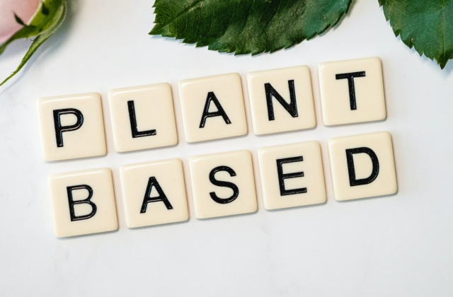 Plant-based meat substitutes