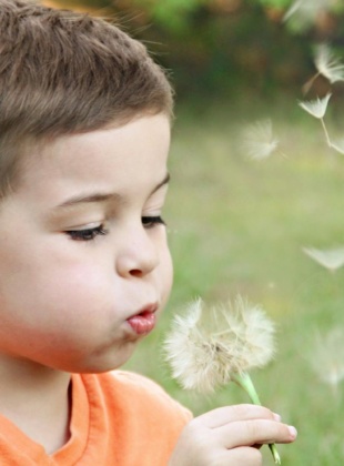 ‘Climate change’ named as children’s word of the year