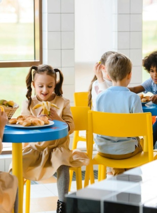 Understanding the educational catering sector