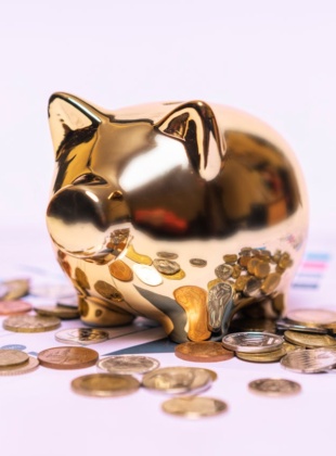 Investor Voice – Q1 2025