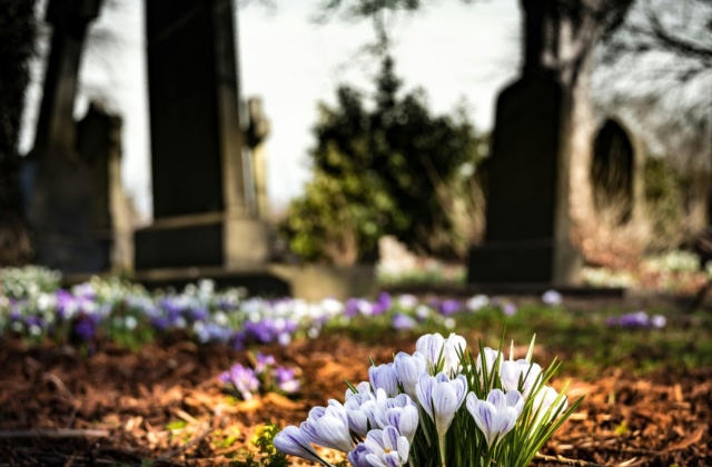 Eternity in Green &#8211; UK adults on alternative burial methods