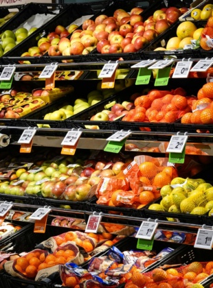 Informing discussions with EU regulators