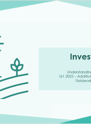 Investor Voice – Additional Q1 2025 Dip (Bonus Tariff Dip)  