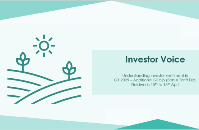 Investor Voice – Additional Q1 2025 Dip (Bonus Tariff Dip)  