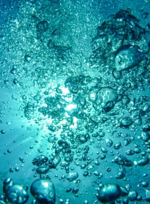 Shaping impactful communication strategy for ocean protection